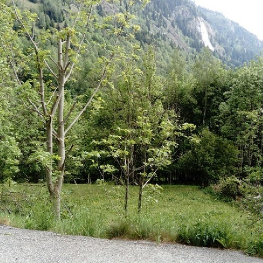  GRIET IMMO : Ground | VAUJANY (38114) | 772 m2 | 298 000 € 