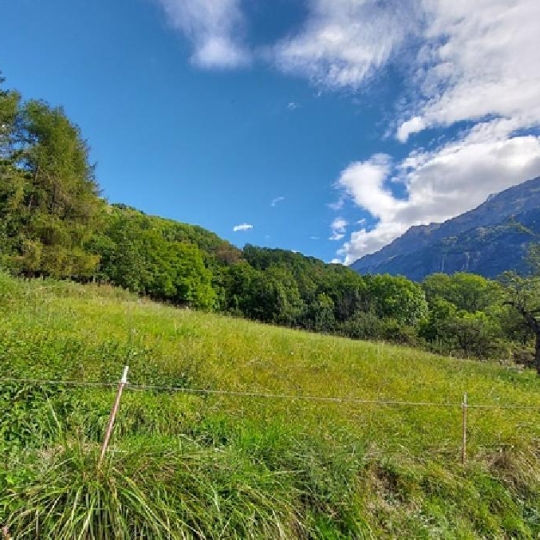  GRIET IMMO : Terrain | VAUJANY (38114) | 2 800 m2 | 395 000 € 