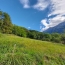  GRIET IMMO : Terrain | VAUJANY (38114) | 2 800 m2 | 395 000 € 